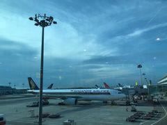-新加坡航空公司(ION)