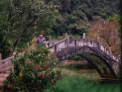 -靖西鹅泉风景区