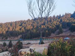 -中国石榴博物馆