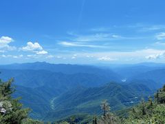 -牛背梁国家森林公园