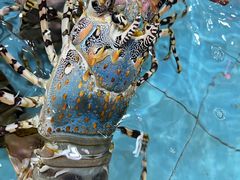 -渔民新村(番禺总店)