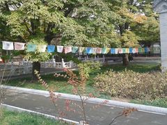 -紫竹院公园冰场