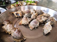 -那琴半岛地质海洋公园