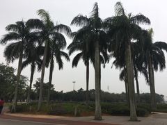 -万绿园