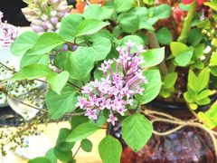 -北马山庄植趣咖啡