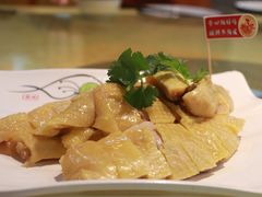 招牌湛江白切鸡-新高记·粤菜·湛江鸡(南头古城店)