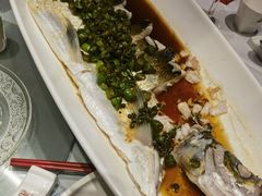 -沪碟·精菜坊(闵行店)
