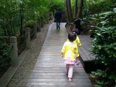 -上海佘山国家森林公园西佘山园