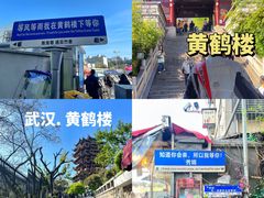 -武汉知音号