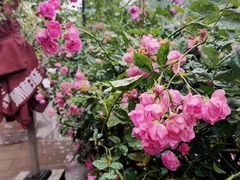 -楠柏弯休闲山庄(梨花溪店)