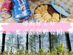 -上海长兴岛郊野公园