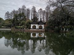 -红梅公园