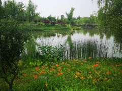 -海天湖公园