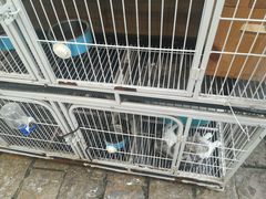-边渡咖啡烘焙店(昙华林店)