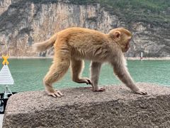 -白帝城·瞿塘峡景区