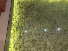-狐狸和向日葵(北京路店)