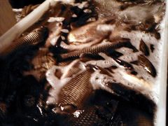 -北京清河镇农副产品交易市场中心