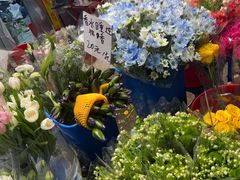 -循礼门鲜花花市(武汉循礼门店)