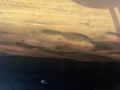 -牧马人奶茶馆(乌兰察布总店)