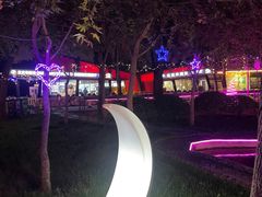 -枫花园汽车电影院(朝阳公园店)