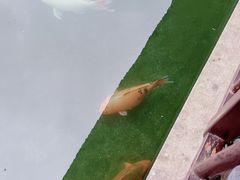 -杭州植物园