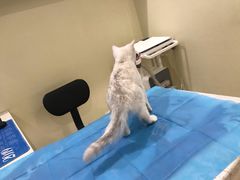 -美迦爱-牙专科·兔科·骨科诊疗中心(北苑店)