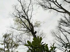 -白鹭湾湿地公园