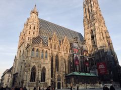 -斯蒂芬主教座堂(Stephansdom)