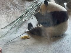 -宁波野生动物园