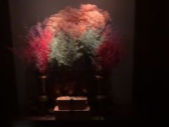 -唐宫足道·SPA·影院会馆(木渎店)