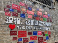 -大槐树寻根祭祖园