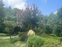 -徐家汇源景区-衡山公园