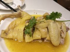 白斩鸡-壹只菜·崇明本地特色菜(崇明南门店)