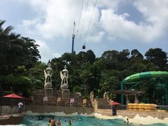 -新加坡水上探险乐园