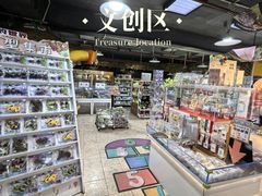 -上海大自然野生昆虫馆(东方明珠·爬宠昆虫探索中心)