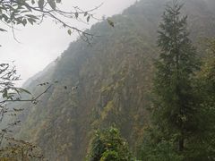 -九峰山