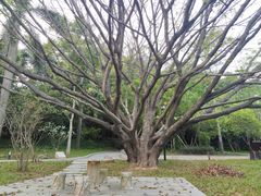 -南国桃园旅游度假区