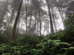 -綦江古剑山