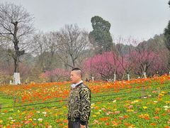 -秀丽东方