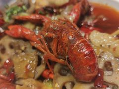 -霸王虾·麻辣小龙虾(清水河公园店)