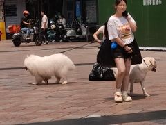 -来回·咖啡(天河南店)