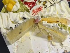 -维尔纳斯·生日蛋糕·动物奶油冰淇淋蛋糕(六里桥店)