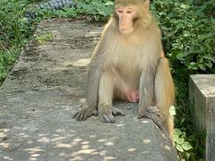 -青龙山生态文化旅游区