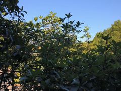-故乡缘·香格里拉山庄(冷竹路店)