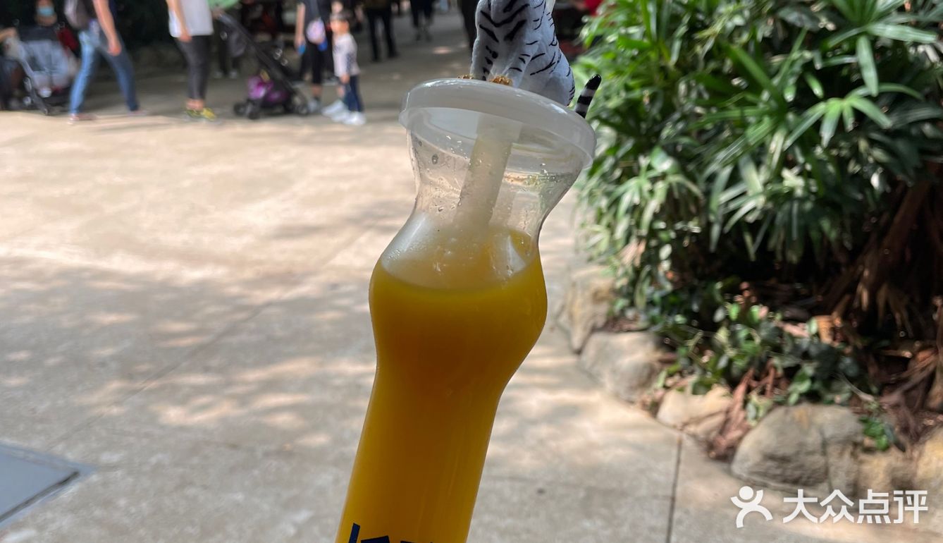 第一站到了长隆野生动物园