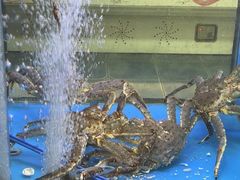 -鲜味食族水产·海鲜餐厅