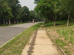 -永定河休闲森林公园