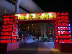 -锦江乐园舞狸花花游园会(夜场专享)