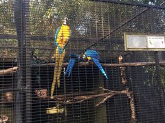 -费瑟代尔野生动物园