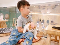 -飞行喵MR PILOT|猫舍·猫咖(静安大融城店)
